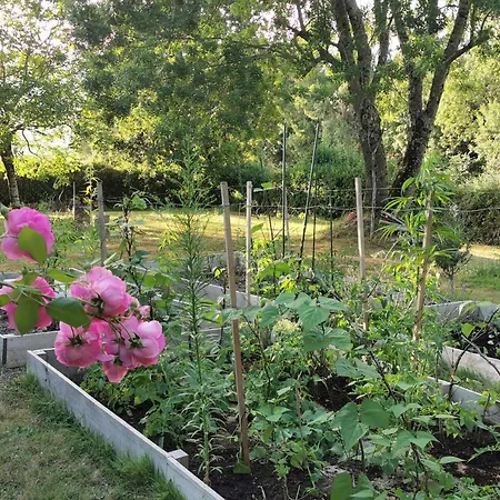 Les Hauts De Font Mouret *