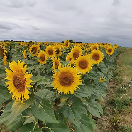 Les Hauts De Font Mouret Saint-Georges-des-Agoûts