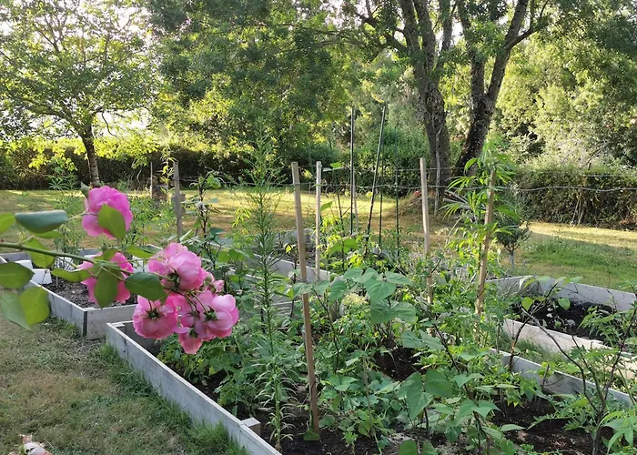 Les Hauts De Font Mouret *