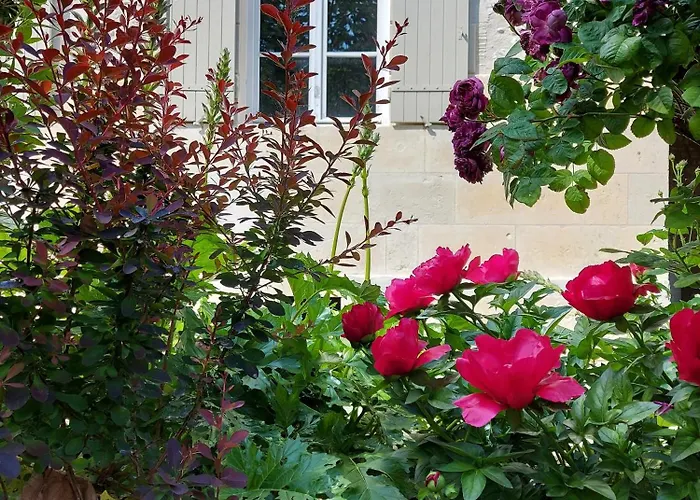 Les Hauts De Font Mouret * Saint-Georges-des-Agoûts