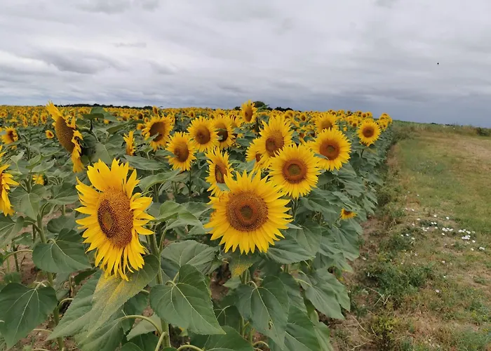 Les Hauts De Font Mouret Saint-Georges-des-Agoûts