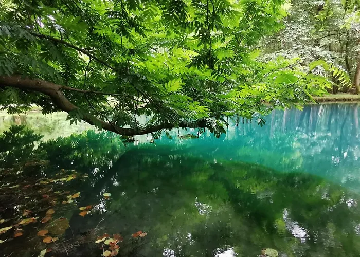 Сasa de vacaciones Les Hauts De Font Mouret Saint-Georges-des-Agoûts